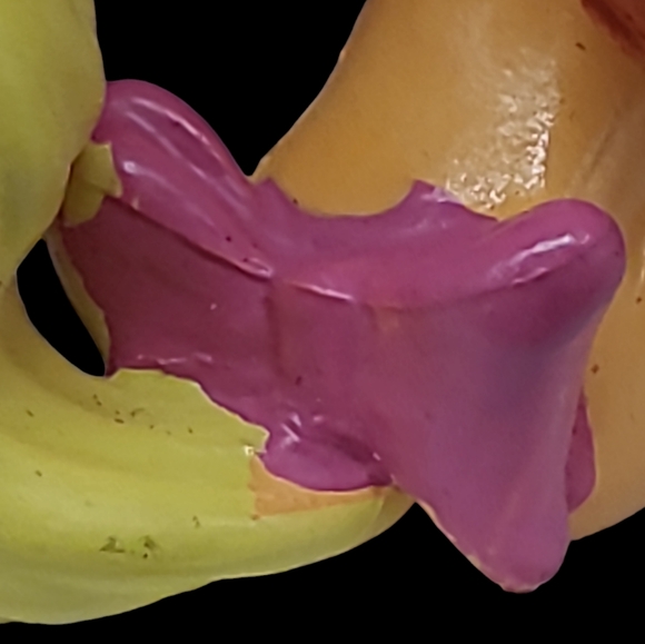 DISNEY'S PALACE PETS BEAUTY AND THE BEAST BELLE'S PET PUPPY "TEACUP" 1 1… - Picture 9 of 9